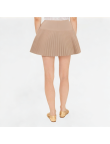 Spring and Summer Pleated Skirt